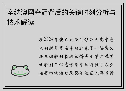 辛纳澳网夺冠背后的关键时刻分析与技术解读