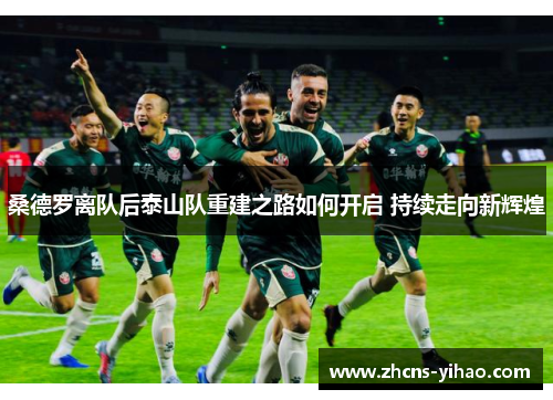 桑德罗离队后泰山队重建之路如何开启 持续走向新辉煌