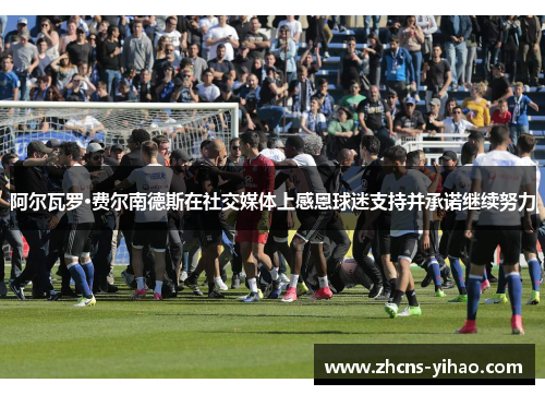 阿尔瓦罗·费尔南德斯在社交媒体上感恩球迷支持并承诺继续努力