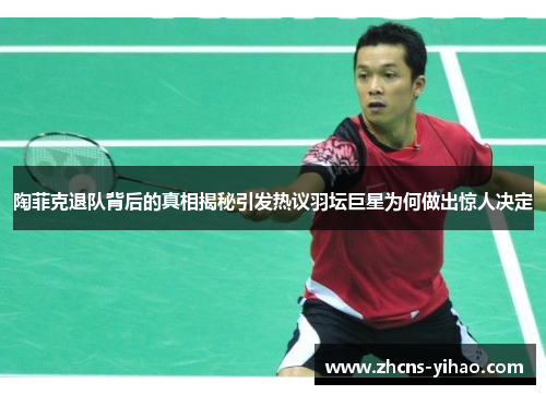 陶菲克退队背后的真相揭秘引发热议羽坛巨星为何做出惊人决定